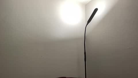 Snapshot of bigmcr1 chatting on 01/26/25, 01:20 Nick Barker online show from 01/26/25, 01:20