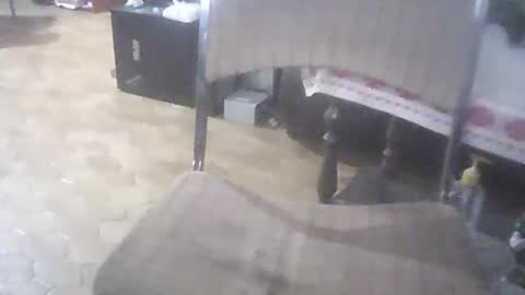 Snapshot of bigpenix chatting on 04/01/26, 01:39 bigpenix online show from 04/01/26, 01:39