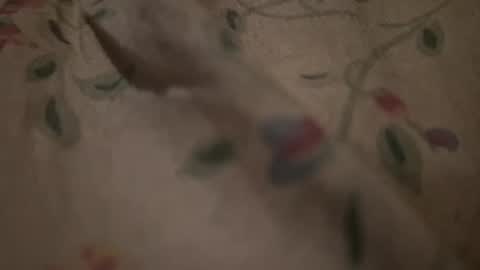 Snapshot of bigpoppadutch666 chatting on 01/16/26, 12:53 bigpoppadutch666 online show from 01/16/26, 12:53