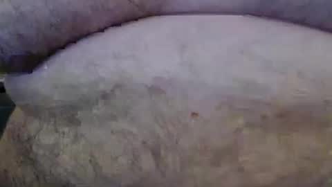 Snapshot of bigstudfred chatting on 03/08/26, 11:58 jason online show from 03/08/26, 11:58