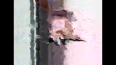 bigtrozo online show from 06/08/26, 04:29
