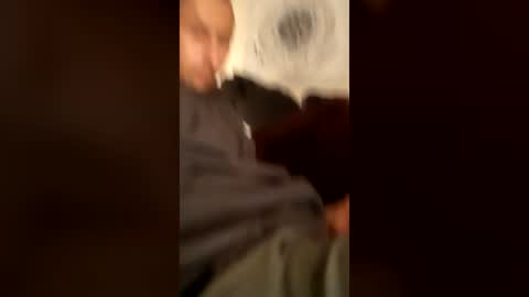 DeePee online show from 06/15/26, 10:28
