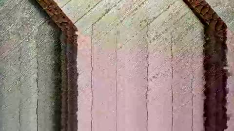 bigwytecock1979 online show from 12/24/24, 04:30