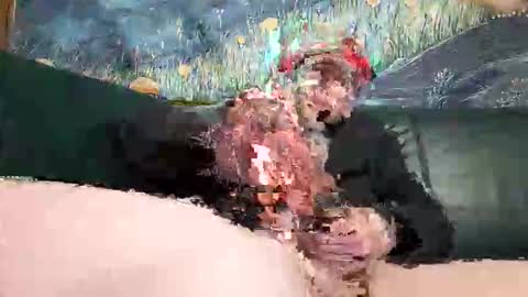 bigwytecock1979 online show from 04/19/26, 06:32