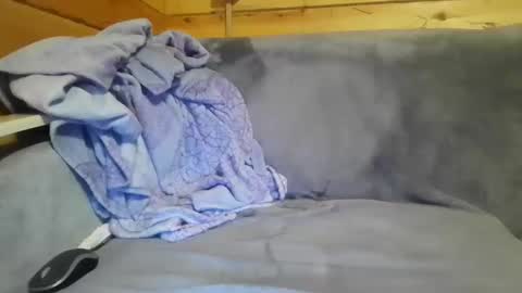 bik40 online show from 12/27/24, 10:59