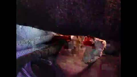 bilco03 online show from 10/29/25, 11:56