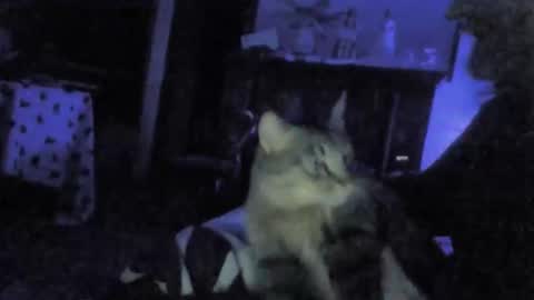 Snapshot of billenews chatting on 02/26/26, 06:01 billenews online show from 02/26/26, 06:01