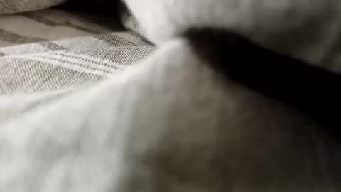 Snapshot of billy7801801010 chatting on 02/20/26, 01:13 billy7801801010 online show from 02/20/26, 01:13