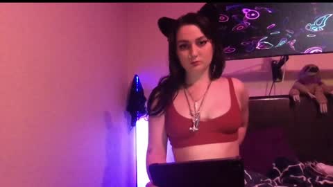 Snapshot of bimbokitten666 chatting on 12/13/24, 04:11 Danny online show from 12/13/24, 04:11