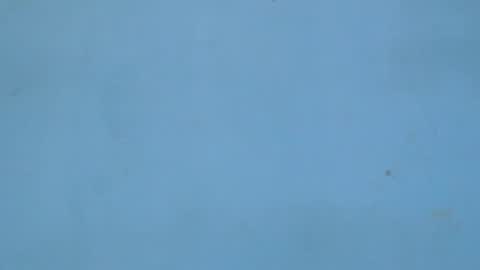 birdiexxslut online show from 11/18/25, 09:08