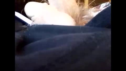 Snapshot of bjloversohard chatting on 01/04/25, 04:33 bjloversohard online show from 01/04/25, 04:33