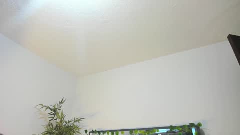 B L A C K  R O S E  online show from 01/31/25, 11:35