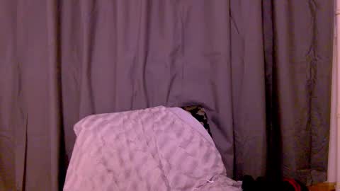 Snapshot of black_sswan chatting on 02/20/26, 03:01 Kristin online show from 02/20/26, 03:01