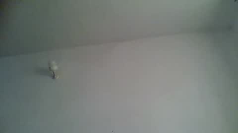 Snapshot of blackafrica2023 chatting on 11/15/25, 05:27 black african online show from 11/15/25, 05:27