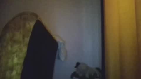 Snapshot of blackafrica2023 chatting on 11/20/25, 05:29 black african online show from 11/20/25, 05:29