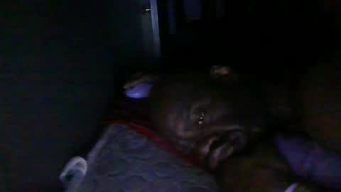 Snapshot of blackteddybear chatting on 02/18/26, 03:24 blackteddybear online show from 02/18/26, 03:24