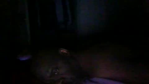 Snapshot of blackteddybear chatting on 03/09/26, 12:58 blackteddybear online show from 03/09/26, 12:58