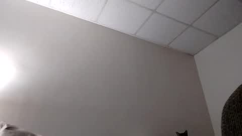 Snapshot of blahblam420 chatting on 02/05/25, 07:50 blahblam420 online show from 02/05/25, 07:50