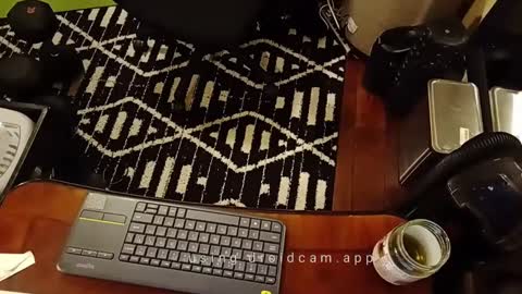 Blackjag00 online show from 02/15/25, 07:06