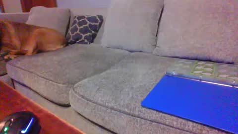 blaw_1321 online show from 06/21/26, 12:35