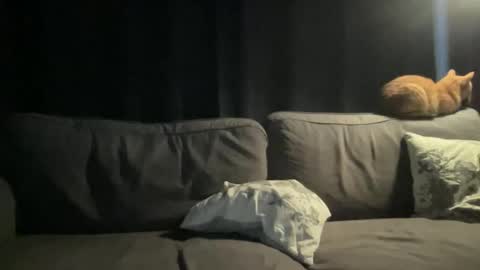 Snapshot of bllyidol chatting on 11/24/25, 06:46 BlIdoL online show from 11/24/25, 06:46