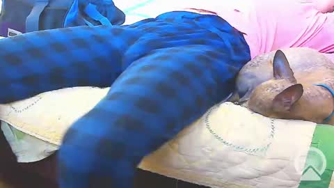Snapshot of blondieblu89 chatting on 02/13/25, 10:00 First Time College Boy online show from 02/13/25, 10:00