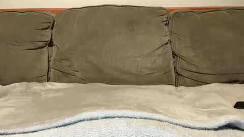 blondiedicks1 online show from 09/16/25, 01:12