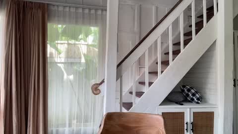 Snapshot of bloomyogi chatting on 01/14/26, 02:17 Emma Bloom online show from 01/14/26, 02:17