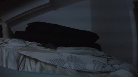 Snapshot of bo22222222 chatting on 11/29/25, 08:01 bo22222222 online show from 11/29/25, 08:01