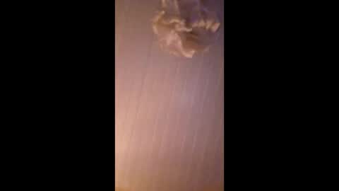 Snapshot of bobberman78 chatting on 12/20/25, 04:25 Dan online show from 12/20/25, 04:25