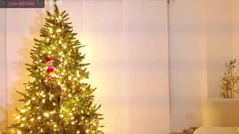 danna online show from 12/11/24, 10:47