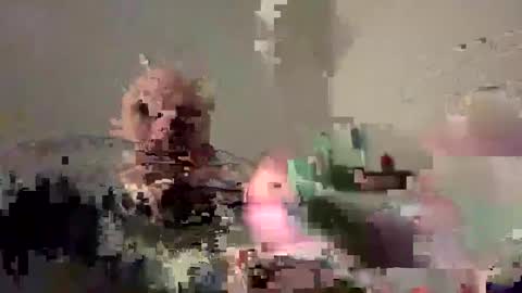 Bodyart85 19 online show from 12/04/24, 05:55