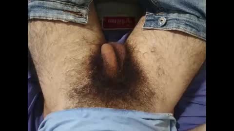 Snapshot of bomvemcam chatting on 10/15/25, 08:03 Im Bom - Tip if You Liked my Hairy Body - Private Show is Open - Read more about me in the bio below online show from 10/15/25, 08:03
