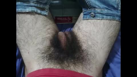 Snapshot of bomvemcam chatting on 11/27/25, 01:24 Im Bom - Tip if You Liked my Hairy Body - Private Show is Open - Read more about me in the bio below online show from 11/27/25, 01:24