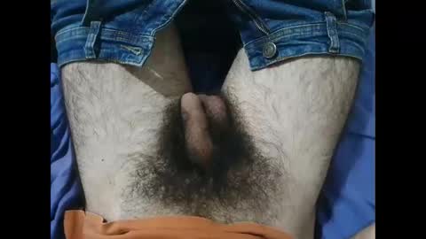 Snapshot of bomvemcam chatting on 12/05/25, 10:46 Im Bom - Tip if You Liked my Hairy Body - Private Show is Open - Read more about me in the bio below online show from 12/05/25, 10:46