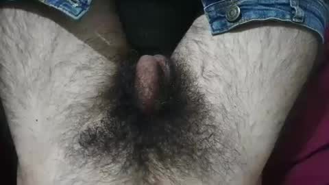 Snapshot of bomvemcam chatting on 04/29/26, 09:02 Im Bom - Tip if You Liked my Hairy Body - Private Show is Open - Read more about me in the bio below online show from 04/29/26, 09:02