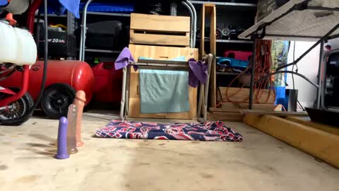 Snapshot of bone2play chatting on 02/18/25, 02:38 FRECKLES online show from 02/18/25, 02:38