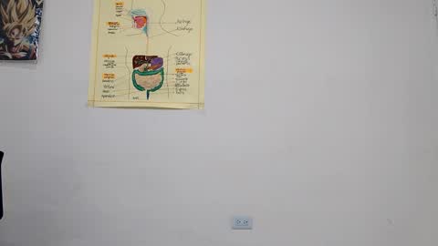 Snapshot of boner_steve chatting on 09/14/25, 03:49 Boner Steve online show from 09/14/25, 03:49