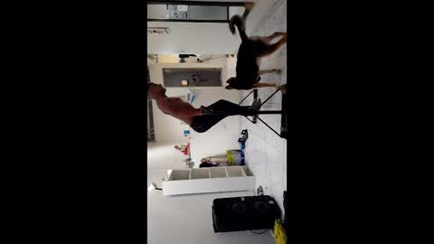 Snapshot of boner_steve chatting on 11/03/25, 07:26 Boner Steve online show from 11/03/25, 07:26