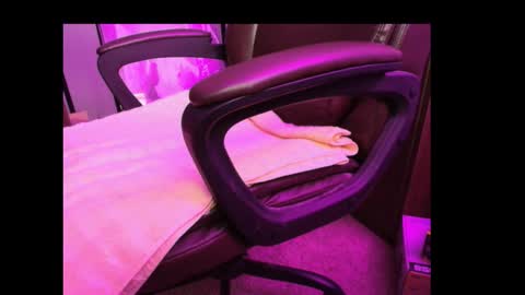 Snapshot of bonerboy765 chatting on 03/10/26, 03:11 Grizz online show from 03/10/26, 03:11