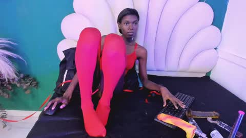 bonieklent online show from 01/28/25, 03:36