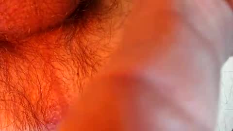 bonnie312 online show from 09/18/25, 04:09