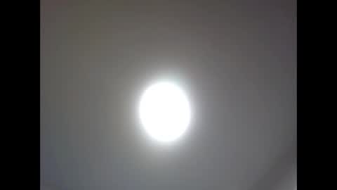 Snapshot of bonop1 chatting on 04/02/26, 04:37 bonop1 online show from 04/02/26, 04:37