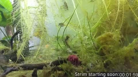 Booker Baxton online show from 12/05/24, 04:09