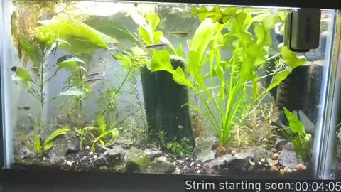 Booker Baxton online show from 12/15/24, 04:07