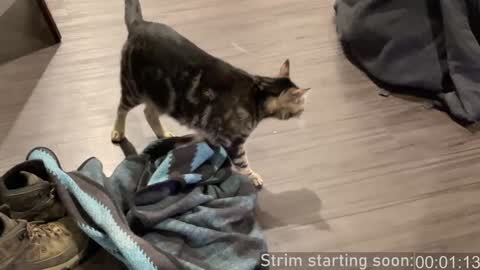 Booker Baxton online show from 12/28/24, 04:08