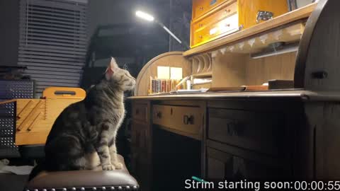 Booker Baxton online show from 01/09/25, 04:08