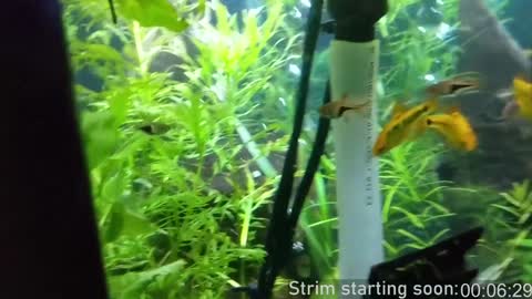 Booker Baxton online show from 02/08/25, 04:03