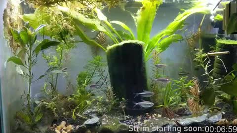 Booker Baxton online show from 02/11/25, 04:01