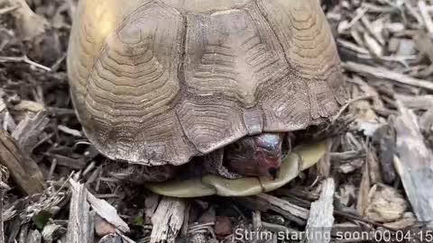 Booker Baxton online show from 03/09/25, 04:05